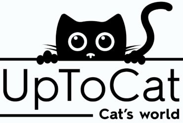 Uptocat.lt aukščiausios kokybės produktai katėms