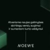 Noewe.eu – naujos galimybės verslo augimui ir turto valdymui