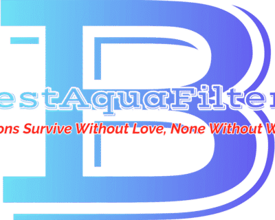 d10a6b85-cd56-490d-935c-98aa19d1d4cd-min