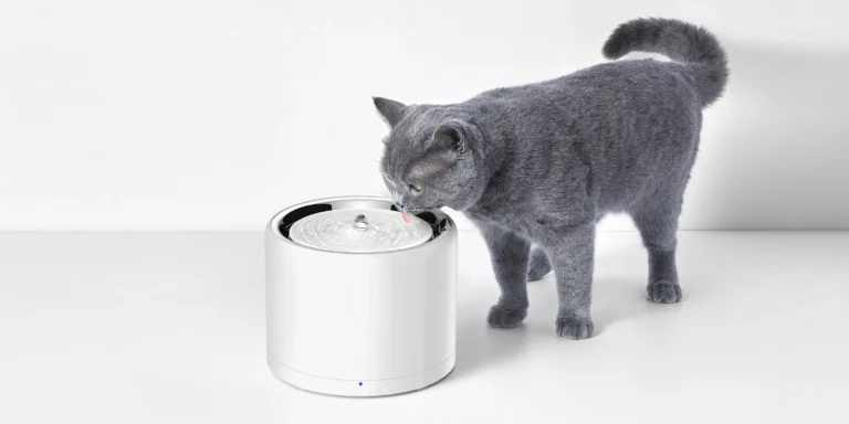 Uptocat.lt aukščiausios kokybės produktai katėms
