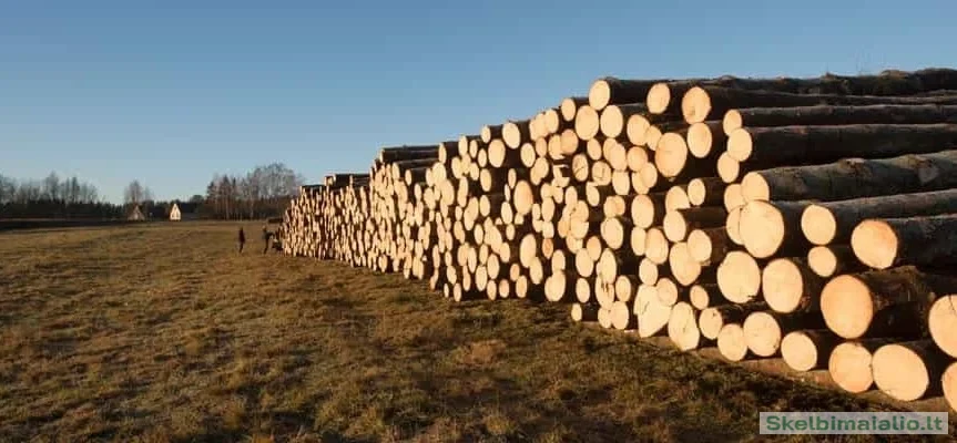 Perkame eglės rąstus nuo 14cm B/C kokybės