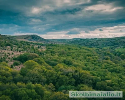 DJI_0216-scaled-1-2000×1123-1-