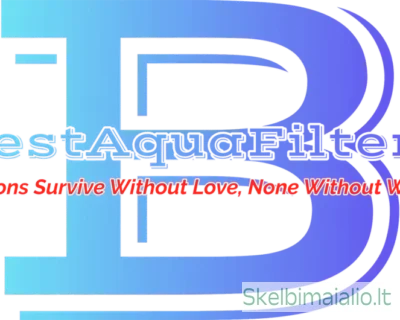 d10a6b85-cd56-490d-935c-98aa19d1d4cd-min-850×530-1
